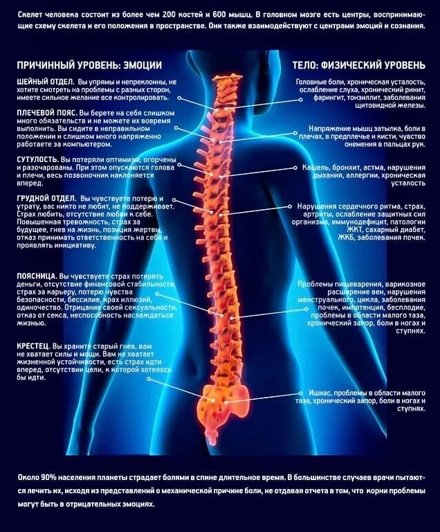 Долго болит позвоночник. Боли в спине причины. Болит спина в области позвоночника. Боль в спине по позвоночнику. Почему болит позвоночник.