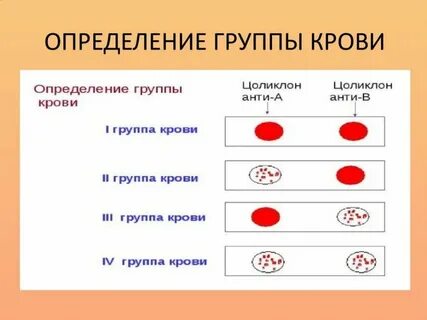 Определение группы целиклонами