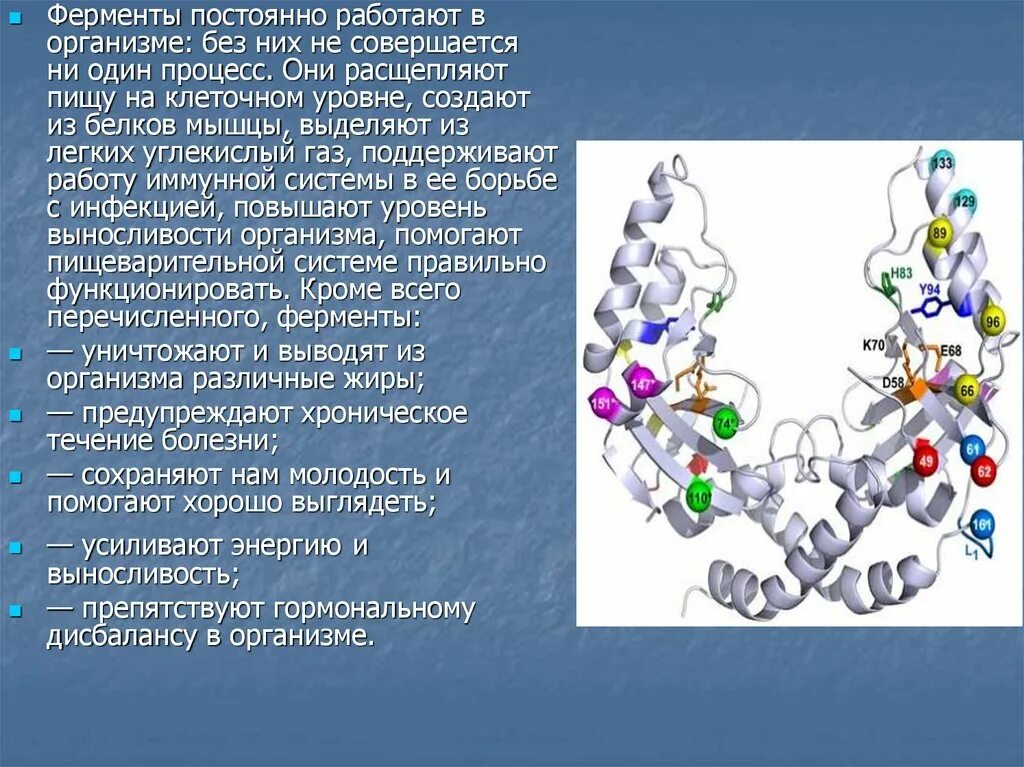 Ферменты формируются. Ферменты. Легкие ферменты. Ферменты энзимы. Ферменты Enzymes.