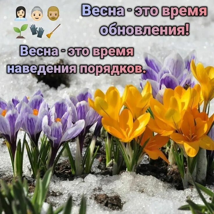 Про жизнь и весну. Весеннее обновление.