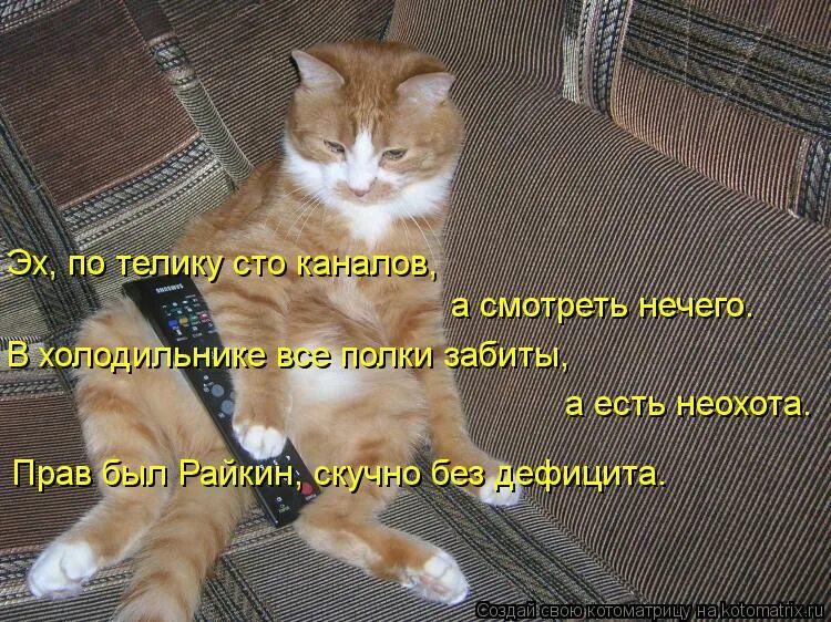 Глядеть нечего. Что смотреть когда нечего смотреть. будь готов всегда готов тискать маленьких котов. приколы без нечего. что посмотреть когда нечего смотреть.
