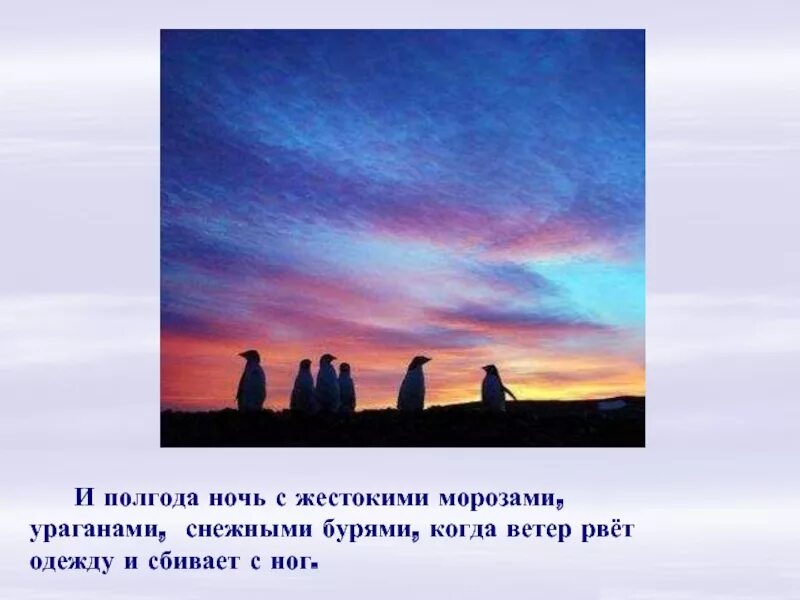 Где полгода ночь