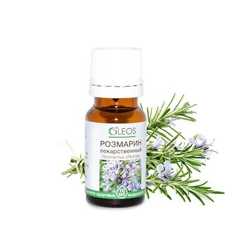 Rosemary essential oil. Розмарин вербенон. Rosemary oil для волос. Масло эфирное нероли фл. Розмарин 10мл.