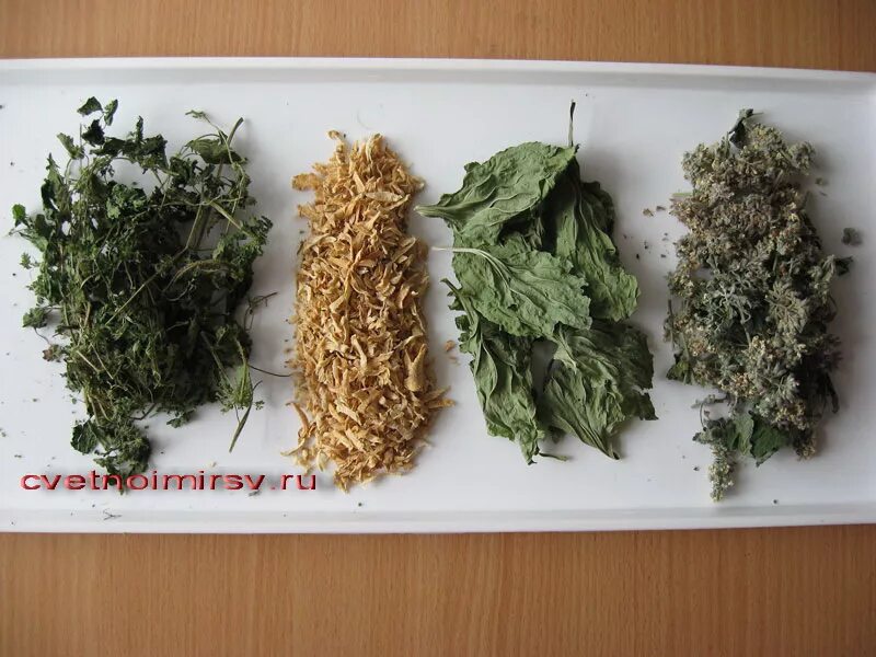 сушка лекарственных трав. способы сушки лрс. сушка лекарственного растительного сырья. сушка лекарственного растительного сырья. целебные травы.
