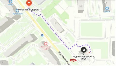 Озон на карте спб