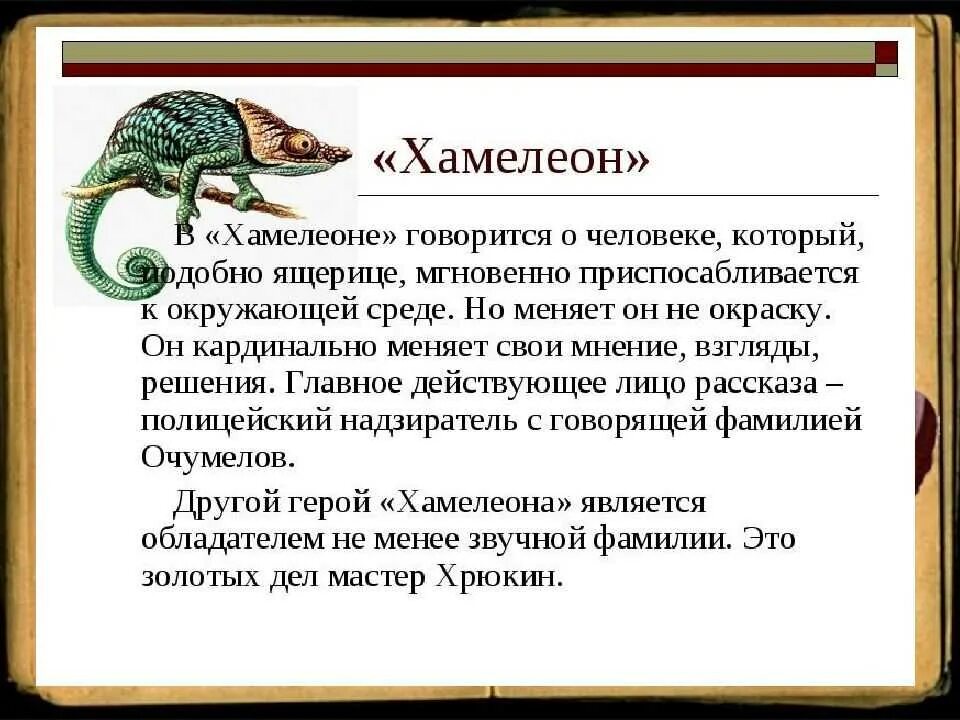 Кого и почему чехов называет хамелеоном. Хамелеон краткое содержание. рассказ хамелеон чехов. рассказ про хамелеона. краткий пересказ хамелеон.