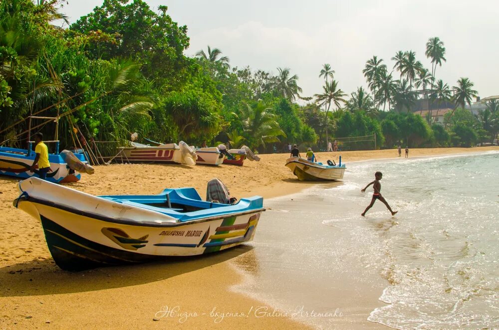 Шри ланка туристы 2024. Шри Ланка туристы. Шри Ланка глазами туриста. Туристы на Шри Ланке. На лодке по джунглям Шри Ланки.