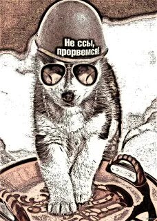 Прорвемся друзья