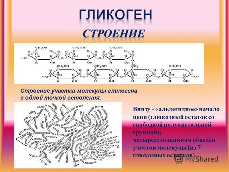 Молекула гликогена состоит из остатков. Структура гликогена биохимия. полисахариды формулы гликоген. гликоген формула структурная линейная. строение гликогена формула.