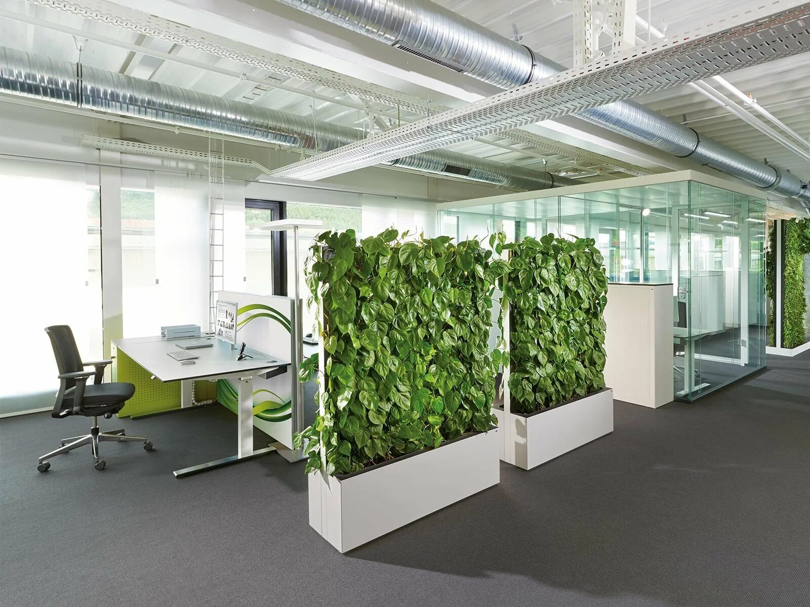 Вертикальное озеленение фитокартина. Биотехнология. Био растения. Био растения. Биотехнологии в медицине.