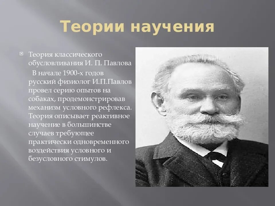 Теория и п павлова. Теория классического обусловливания (и.п. Павлов). Теория научения Павлова. Классическая теория научения. Теория научения и.п. Павлова.