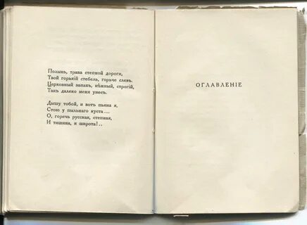 Стихотворение в сумерках цветаева