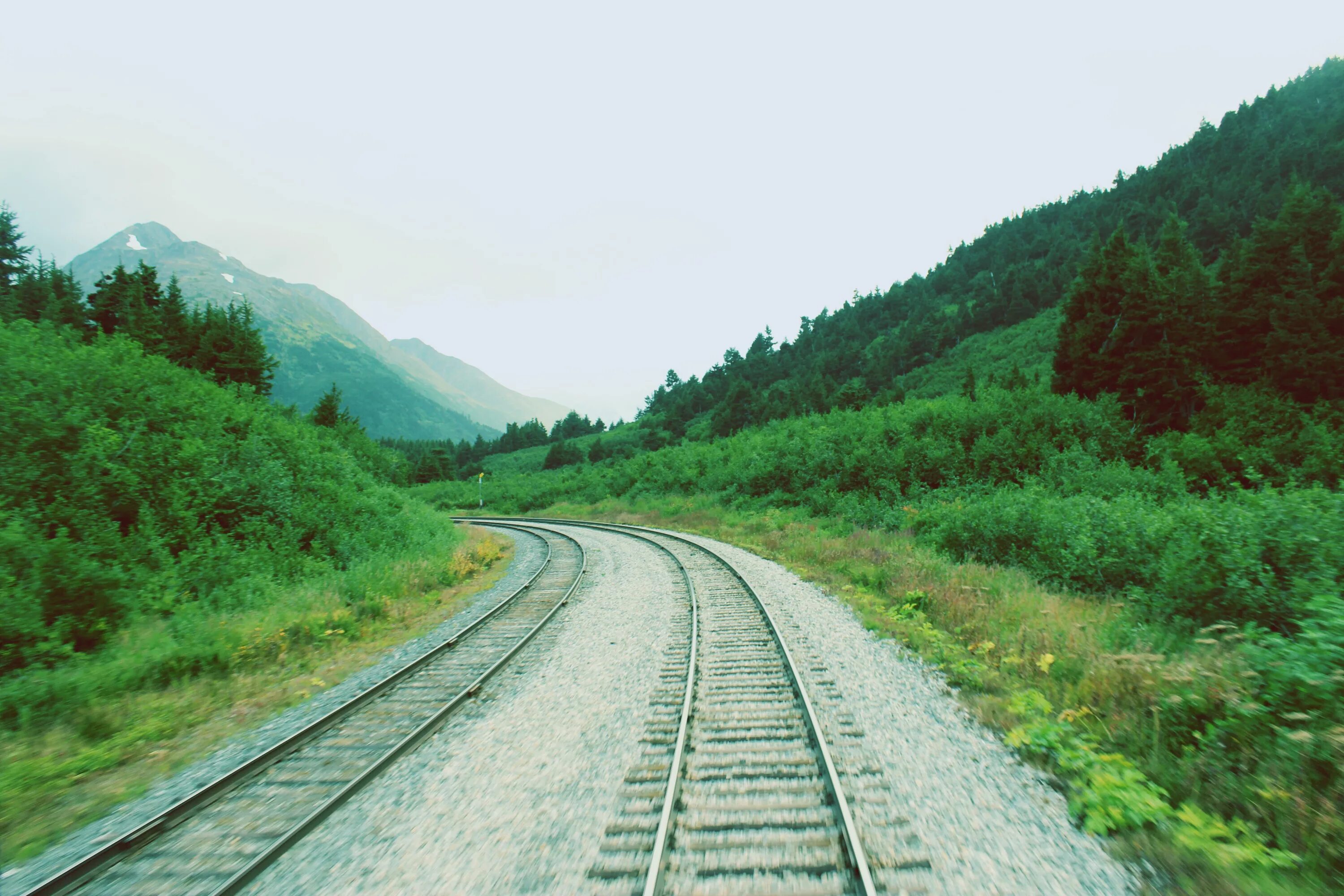 Принадлежащий железной дороге. Алишаньская Лесная железная дорога. Узкоколейка в Адыгее. Одноколейная железная дорога. Железнодорожные пути.