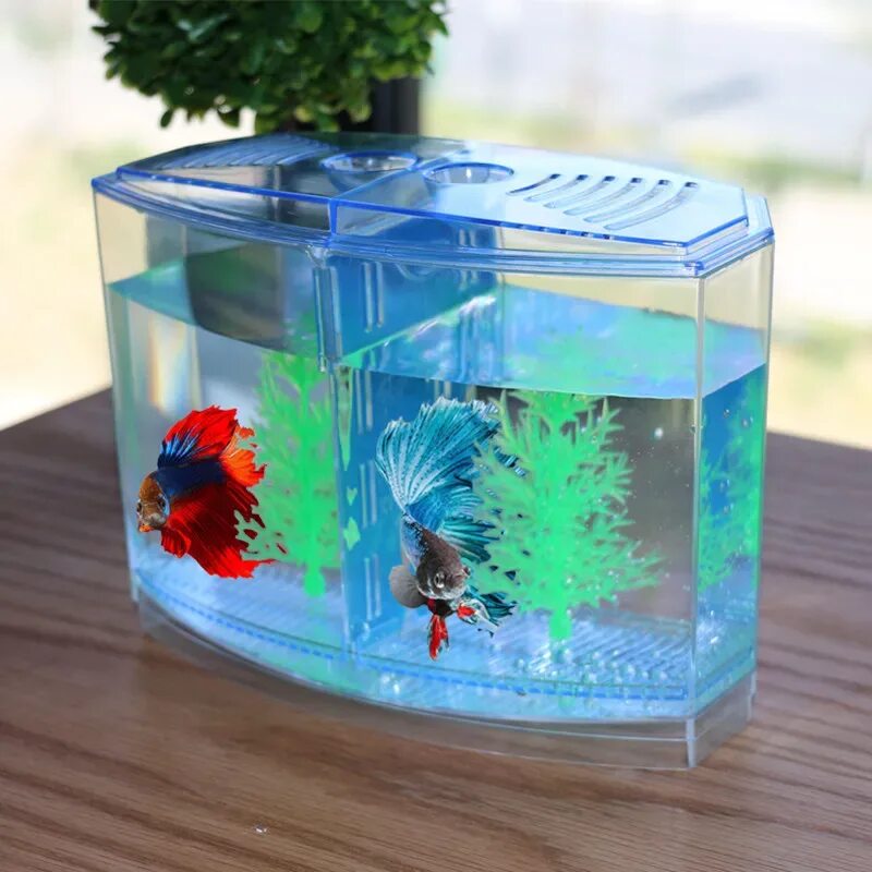 Аквариум Box Betta 1.3. Aqua Box Betta аквариум для петушков 15х15х17 см 3л. Мини Бетта аквариум мва3. Аквариум Барбус Betta Box. Фильтр для аквариума для петушка