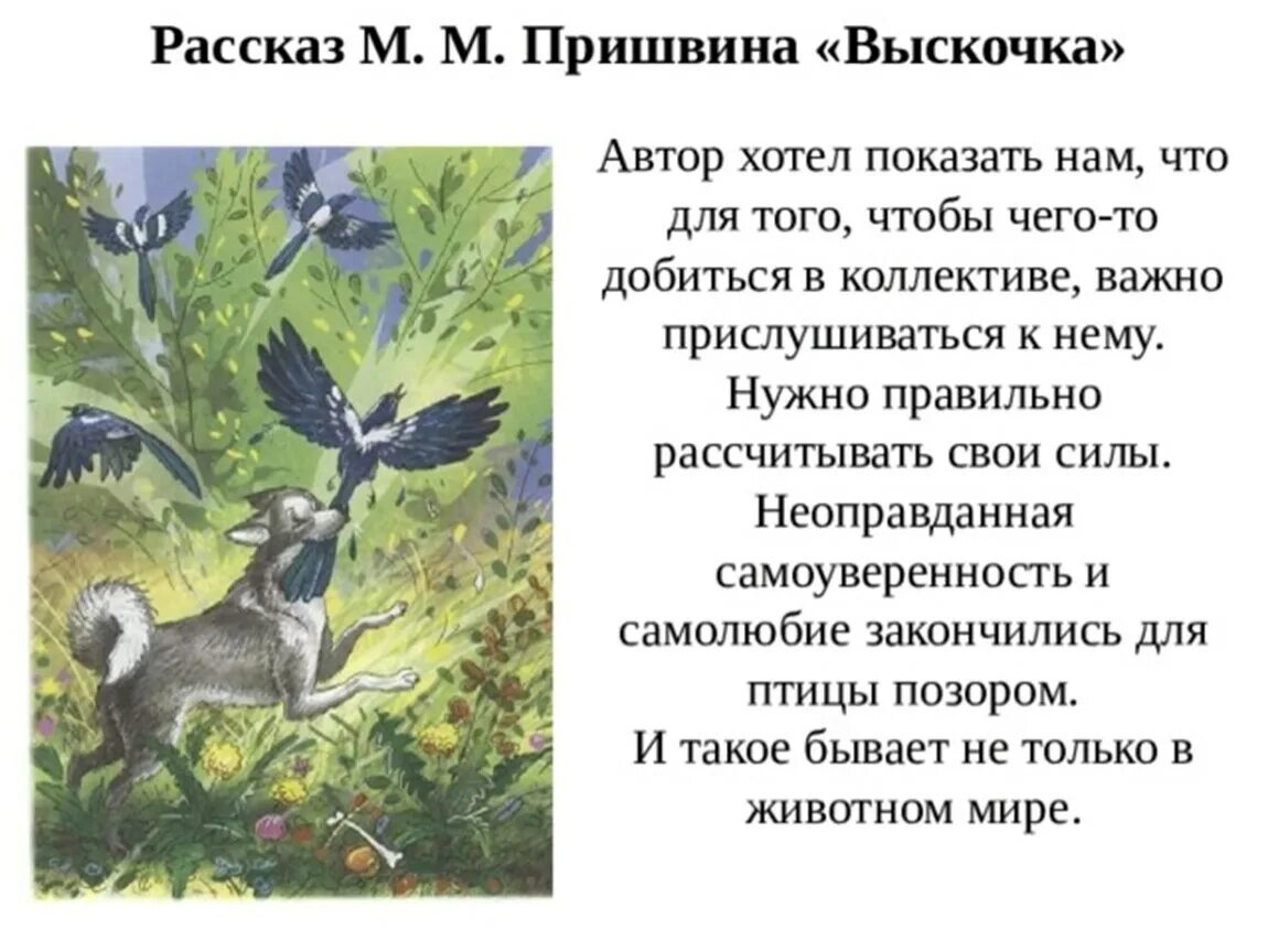 Как рассказчик относится к вьюшке и выскочке. Отзыв на рассказ м Пришвина выскочка 4 класс. М пришвин произведение выскочка.