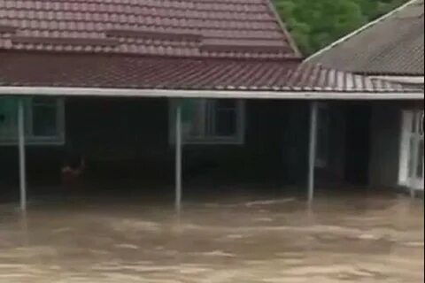 Погода в ходзе