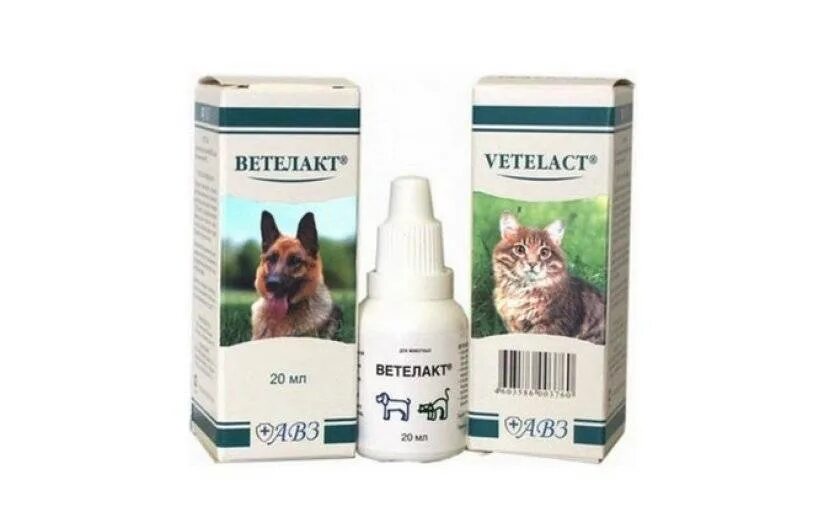 Можно кошкам давать слабительное. Пребиотик для животных Ветелакт. Ветелакт пребиотик 20 мл. Пребиотик Ветелакт для кошек. Пребиотик АВЗ Ветелакт 20 мл.