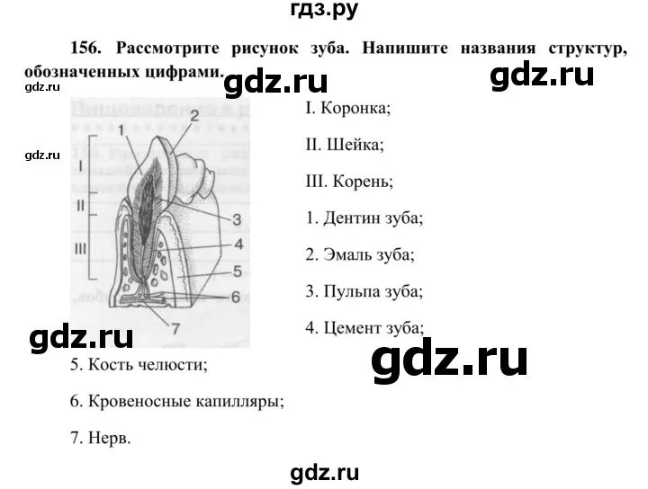 Биология 8 класс 106 страница. 71 биология 8 класс биология. Биология 8 класс страницы. Биология 8 класс 106 страница. Рабочая тетрадь по биологии 8 класс.