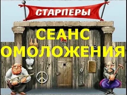 Старая сука