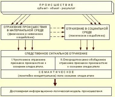 Следственная деятельность структура