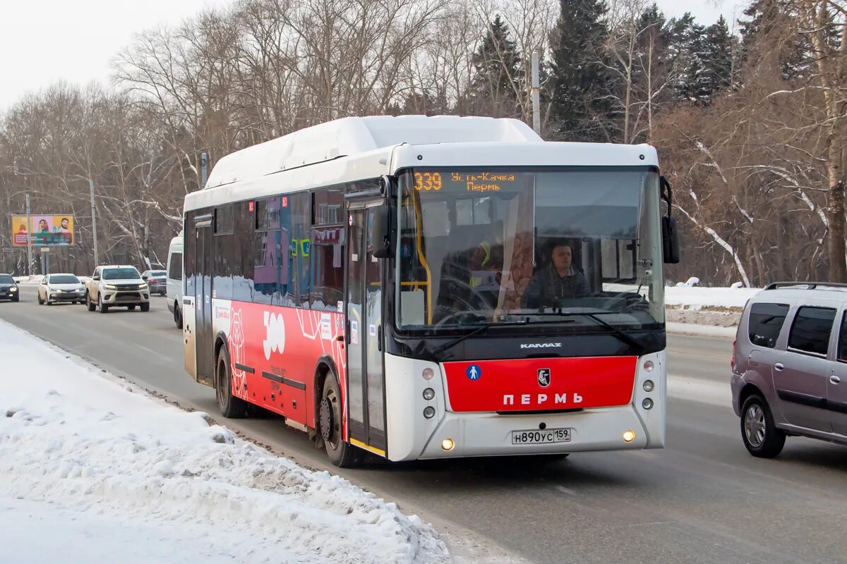 Автобус пермь усть тары. Автобус 53 Пермь НЕФАЗ. 339 Автобус Пермь. Автобус НЕФАЗ Пермь. Н 890 ве/48.