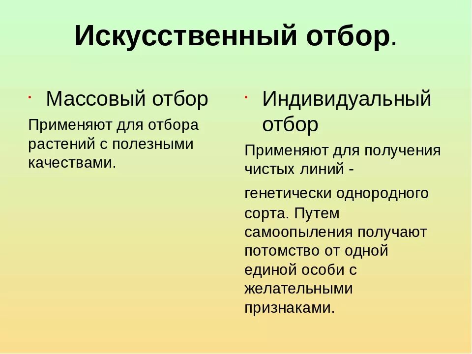 Массовый отбор. Массовый и индивидуальный отбор. Методы селекции массовый отбор. Методы селекции растений массовый отбор.