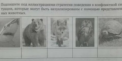 Найдите ситуацию которая иллюстрирует деятельность ответ