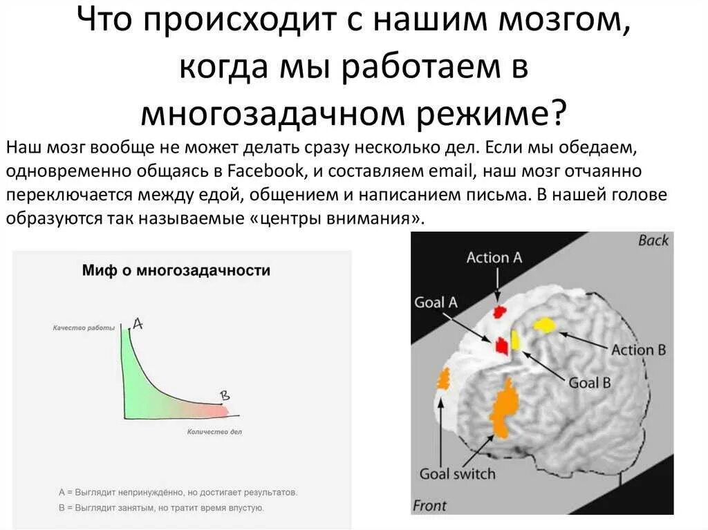 Многозадачность человеческого мозга. КПД мозга человека. Что происходит