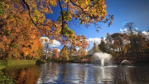 Fall day