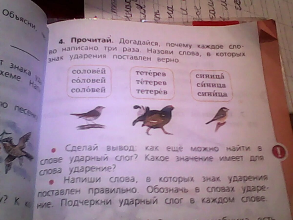 Соловей тетерев синица. Ударный слог в слове Соловей. Тетерев ударный слог. Подчеркни в словах ударный слог. Составьте из ударных слогов каждого