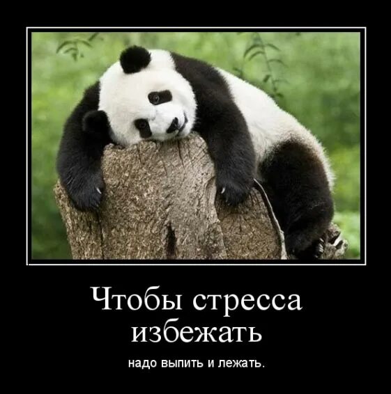 Песня я желаю вам всем меньше стресса