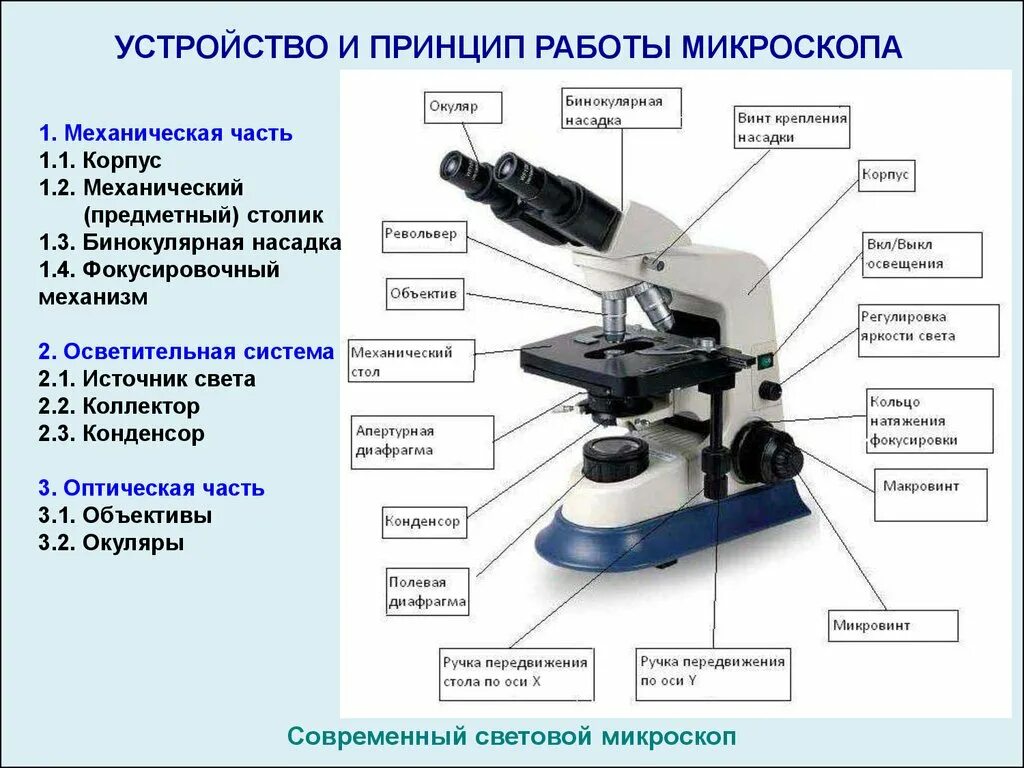 Какую функцию выполняет столик в микроскопе. Строение микроскопа Микмед. Оптический микроскоп строение. Строение микроскопа Levenhuk. Строение микроскопа Микромед-1.