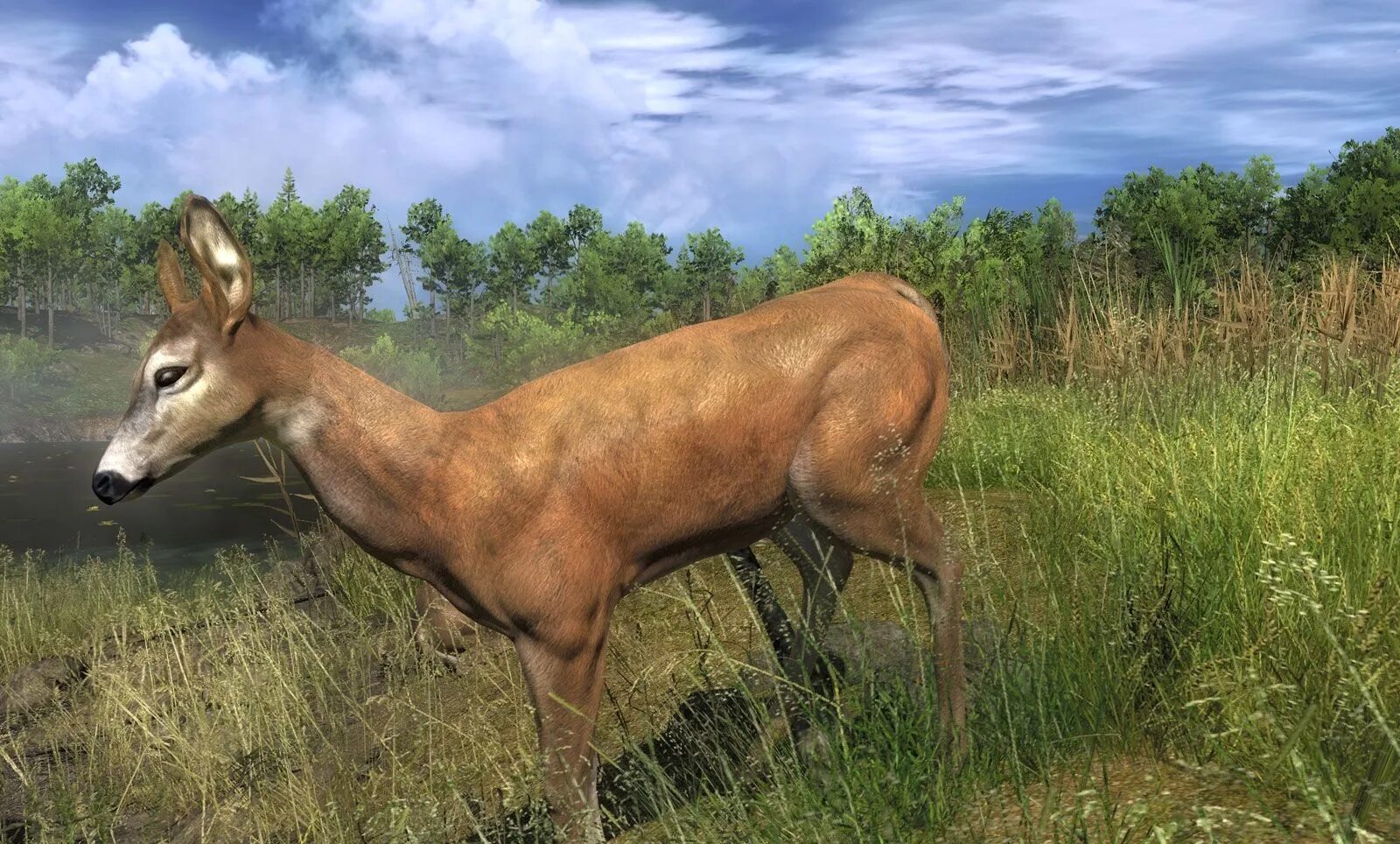 Реалистичная охота. Игра sniper deer hunting. Hunter игра. Симулятор охоты 4 на 4. Хант симулятор сурвайвал.