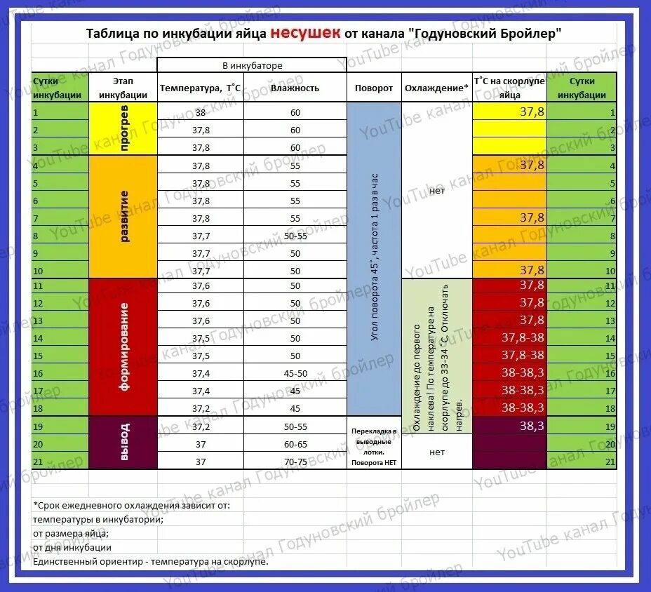 Какая температура должна быть при инкубации. Таблица инкубации куриных яиц блиц норма. Таблица инкубации цыплят в инкубаторе Несушка. Таблица вывода бройлеров в инкубаторе Кобб 500. Кобб 500 инкубация режим инкубации таблица.