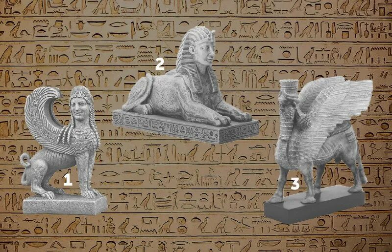 переводы от варвары