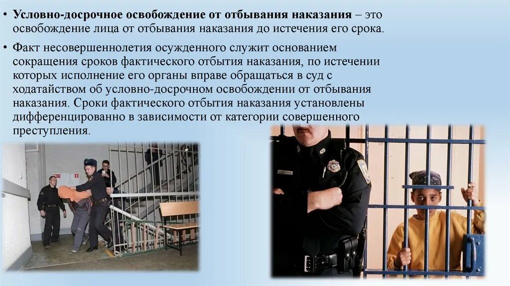 Законе о порядке отбывания административного ареста. Законе о порядке отбывания административного ареста