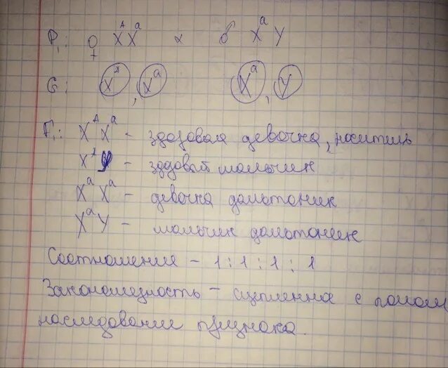 Отец имеет короткие ресницы рецессивный аутосомный