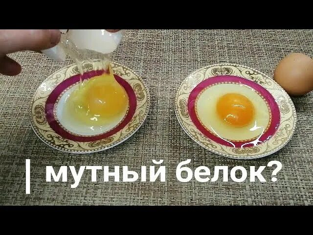 Почему мутные белки яиц. Мутный белок в яйце. Мутный белок у куриного яйца. Мутный белок в сыром яйце.