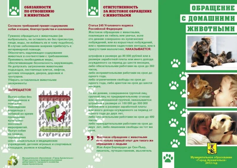 Профилактика содержания животных. Памятка по обращению с домашними животными. памятка обращение с животными. брошюра про домашних животных. брошюры с животными.