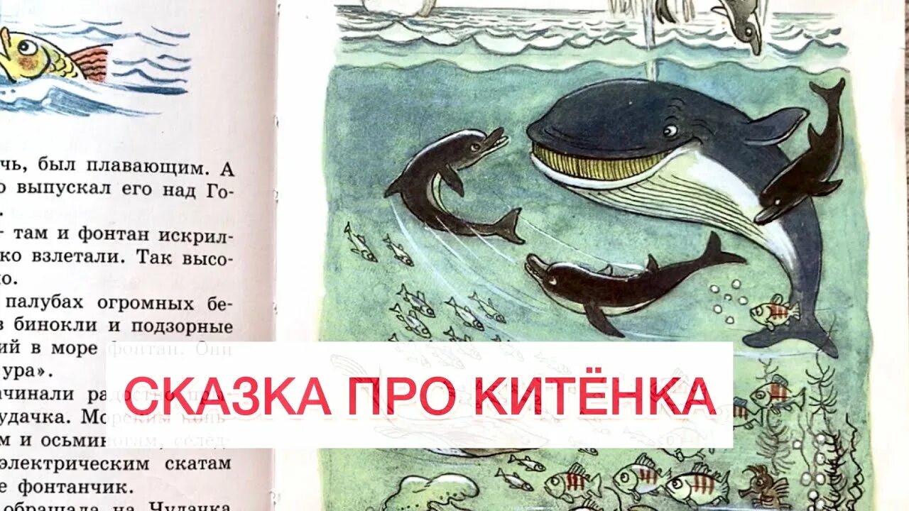 Сказки киплинга кит. Придумать сказку про кита. Сочинить свою сказку про рыбу-кит. Придумать сказку про кита. Сказки киплинга кит.