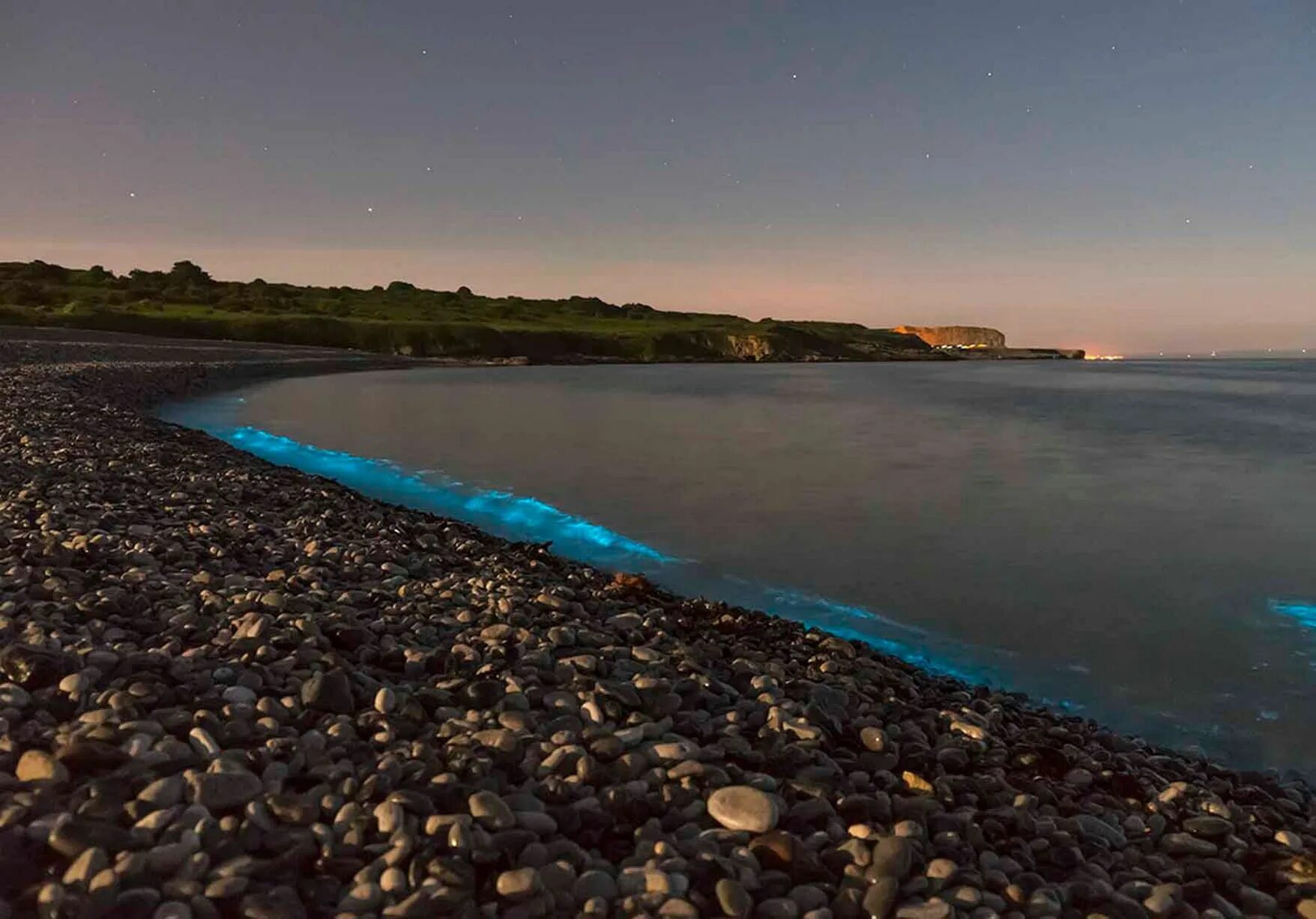 Когда фосфорится море в крыму. Остров ваадху мальдивы. водоросль ночесветка черное море. мыс меганом светящийся планктон. остров ваадху, мальдивы. планктон.