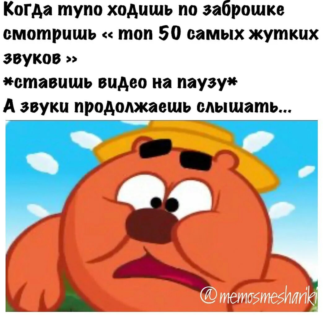 Мем смешариков смотришь. Мем смешариков смотришь