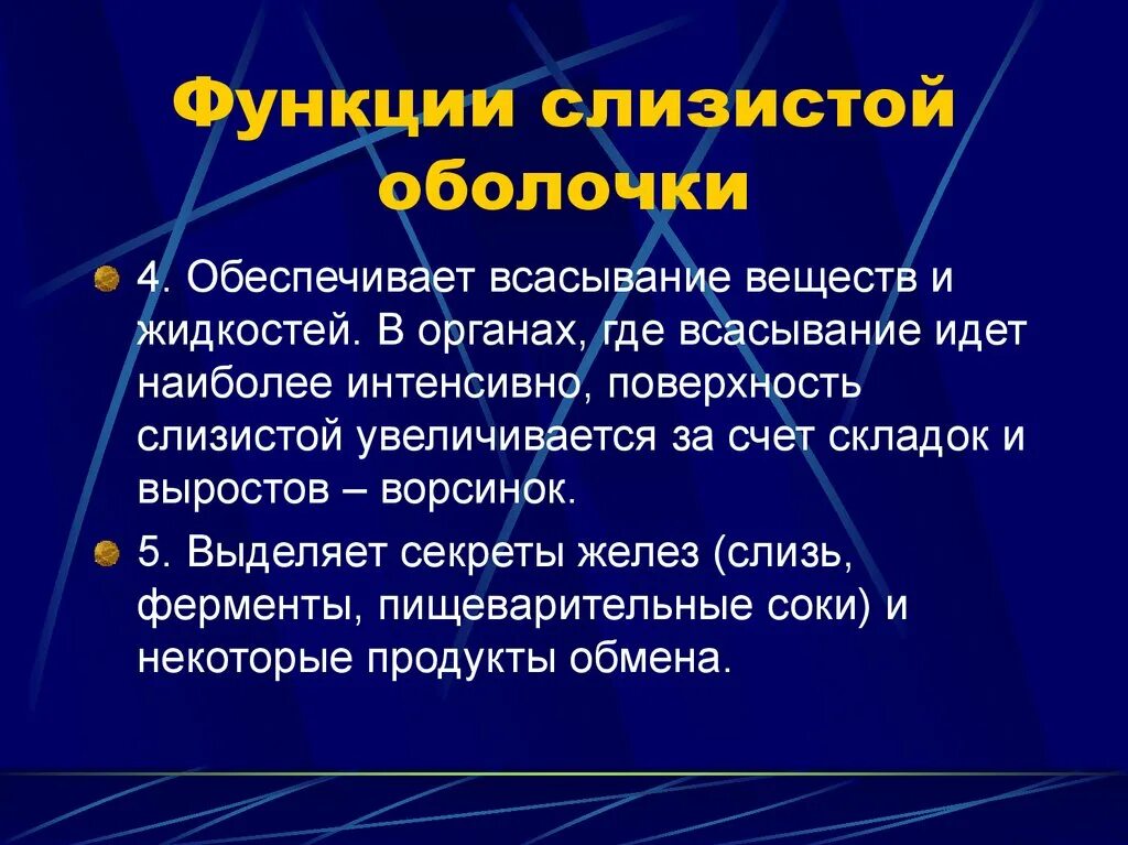 5 функция слизистой оболочки