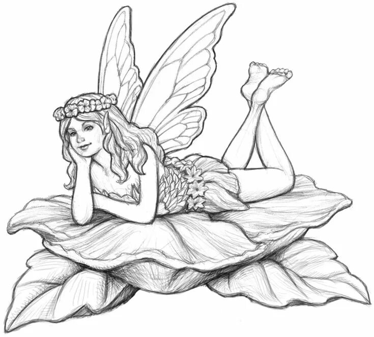Color fairy