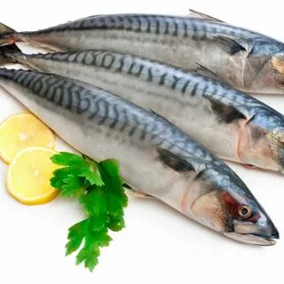 Свежемороженая скумбрия посол