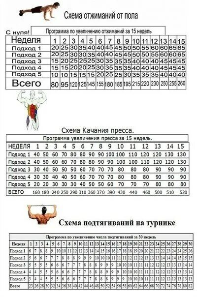 Как начать отжиматься с нуля