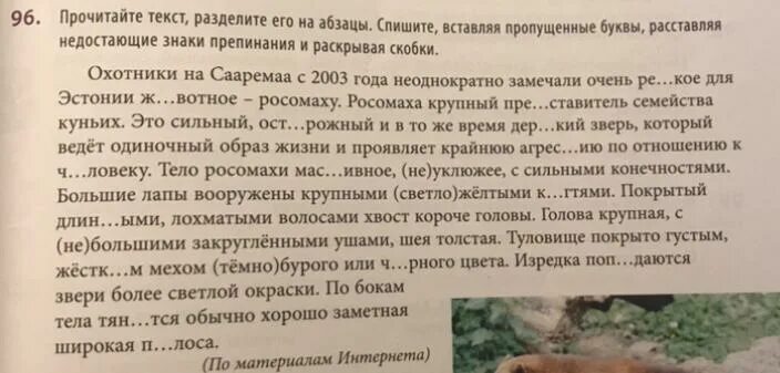 Выпишите раскрывая скобки работа выполнена. Выпишите раскрывая скобки работа выполнена