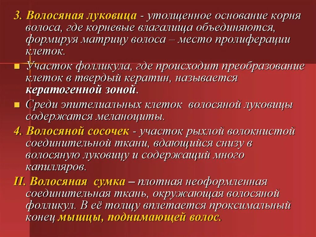 Волосяная сумка функции. Волосяная луковица функции. волосяной фолликул функции. функции волосяной луковицы кожи. роль волосяной луковицы.