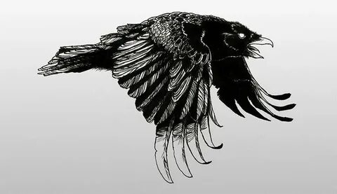 Shadow crow
