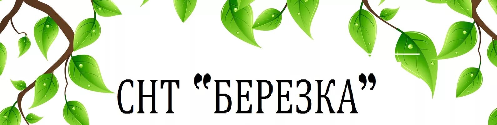 Общество березка. Эмблема Березка. Вывеска с березой. Эмблема садоводства. Береза с надписью.